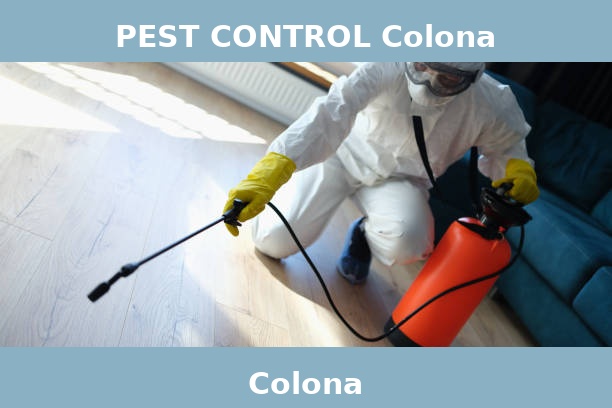 PEST CONTROL Colona